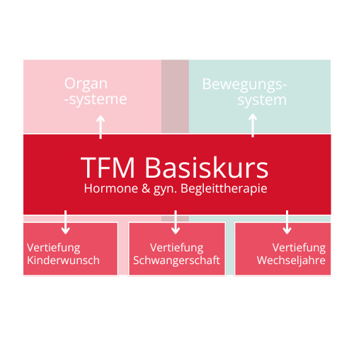 Deine TFM-Kurse auf einen Blick